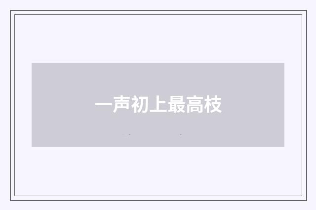 一声初上最高枝
