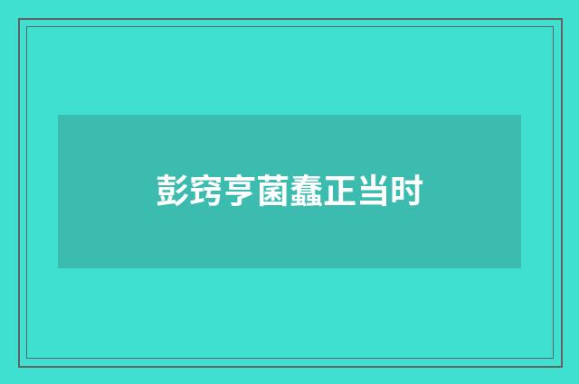 彭窍亨菌蠢正当时