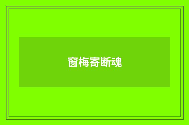窗梅寄断魂