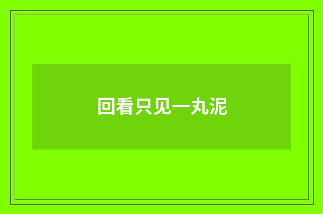 回看只见一丸泥