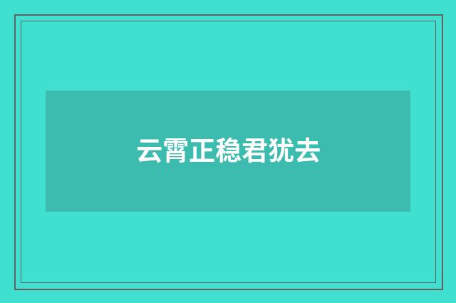 云霄正稳君犹去