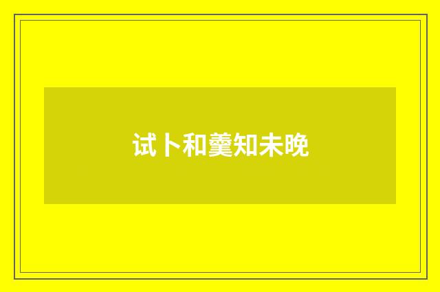 试卜和羹知未晚