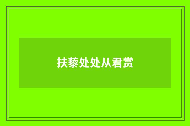 扶藜处处从君赏