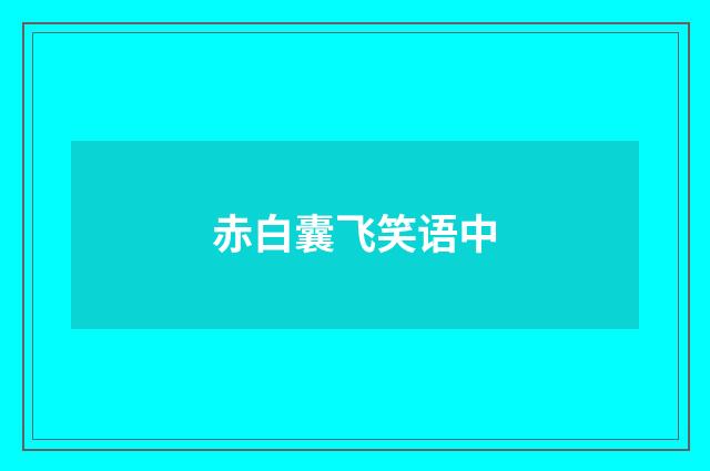 赤白囊飞笑语中
