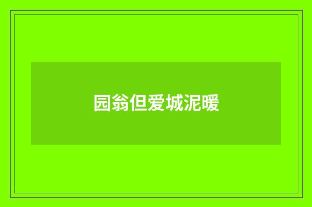 园翁但爱城泥暖