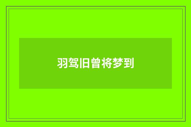 羽驾旧曾将梦到