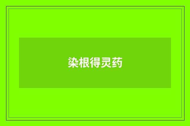 染根得灵药