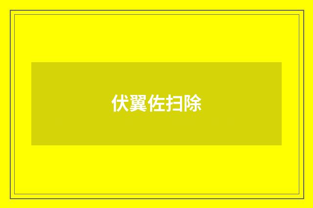 伏翼佐扫除