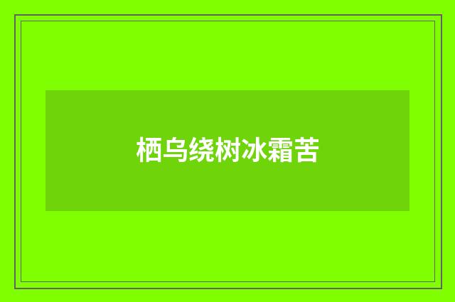 栖乌绕树冰霜苦