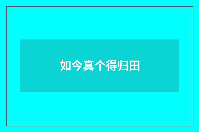 如今真个得归田