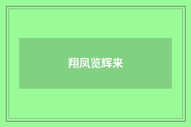 翔凤览辉来