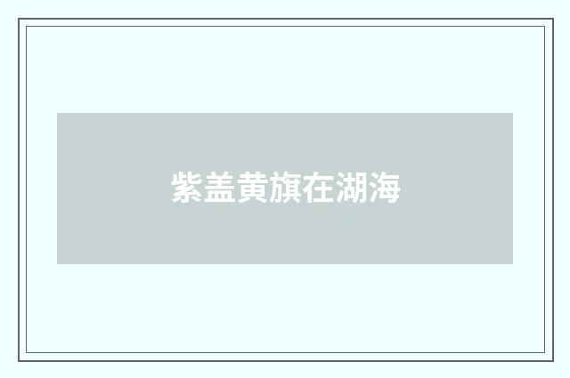 紫盖黄旗在湖海