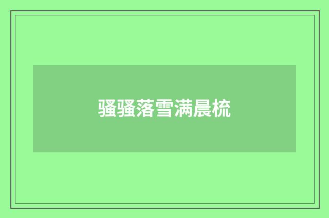 骚骚落雪满晨梳