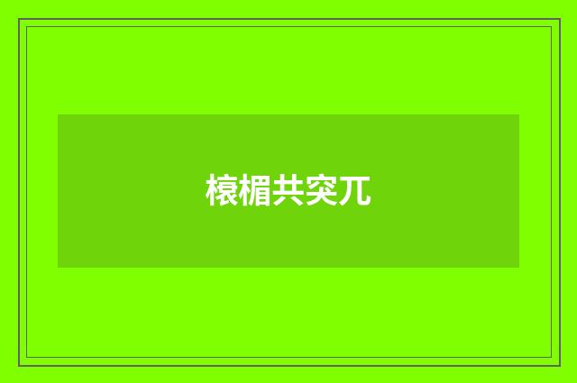 榱楣共突兀