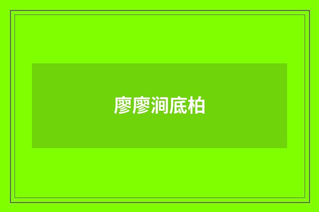廖廖涧底柏