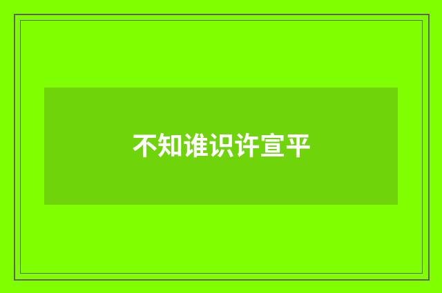 不知谁识许宣平