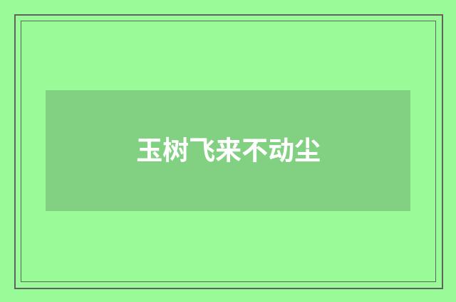 玉树飞来不动尘