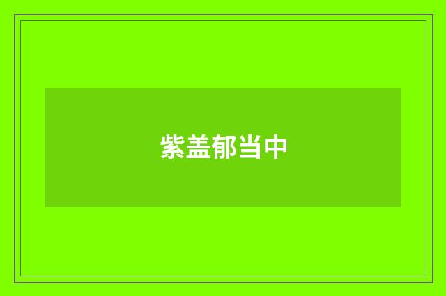 紫盖郁当中