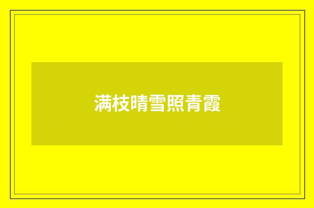 满枝晴雪照青霞