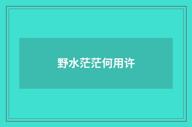 野水茫茫何用许