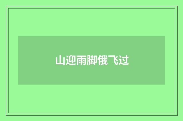 山迎雨脚俄飞过