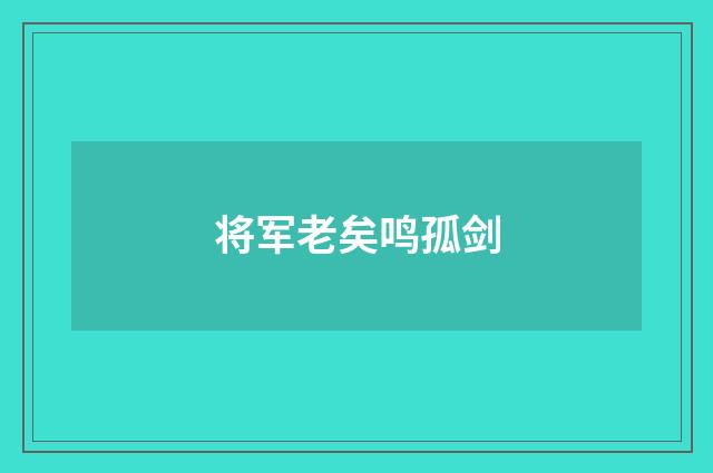 将军老矣鸣孤剑