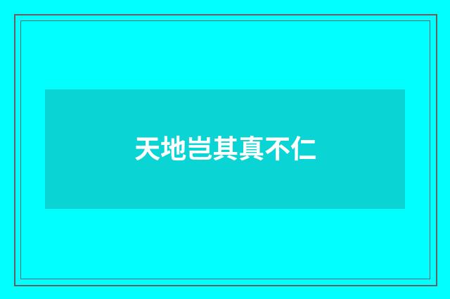 天地岂其真不仁