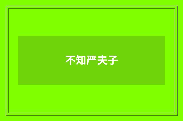 不知严夫子