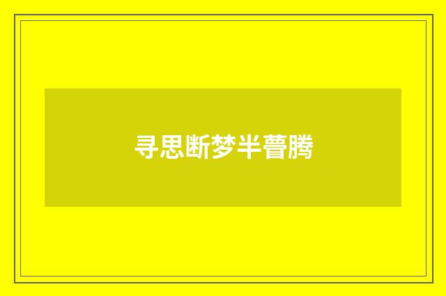 寻思断梦半瞢腾