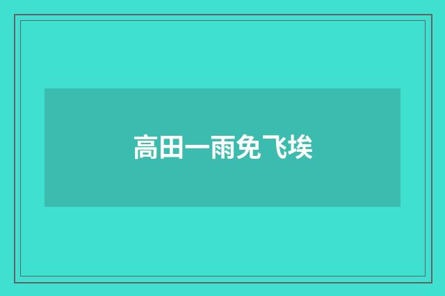 高田一雨免飞埃