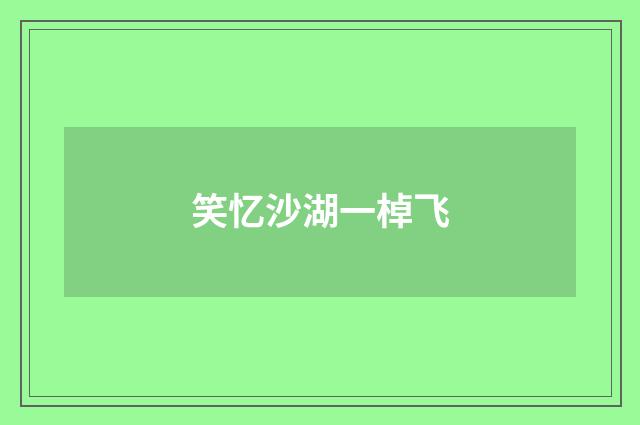 笑忆沙湖一棹飞