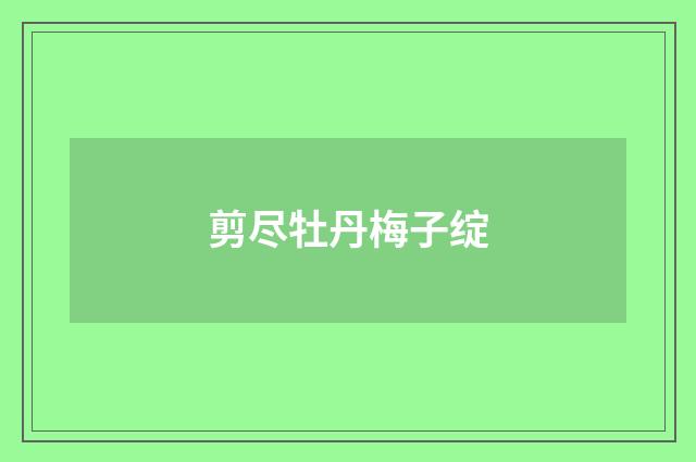 剪尽牡丹梅子绽