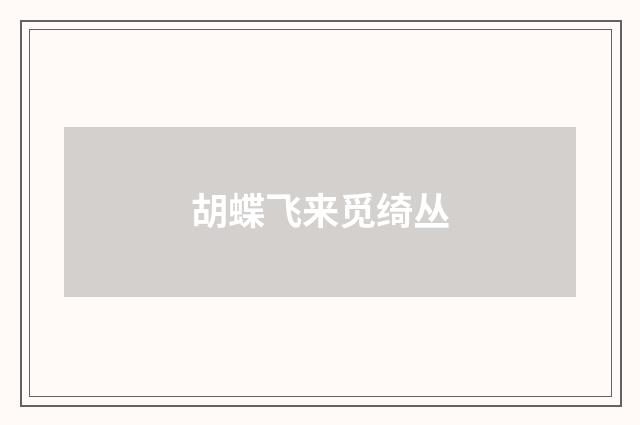 胡蝶飞来觅绮丛