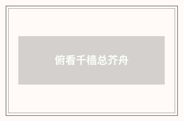 俯看千樯总芥舟