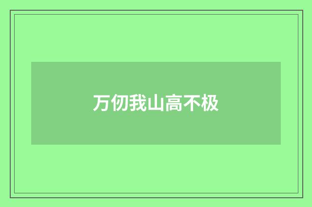 万仞我山高不极