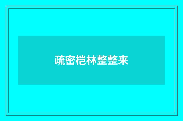 疏密桤林整整来