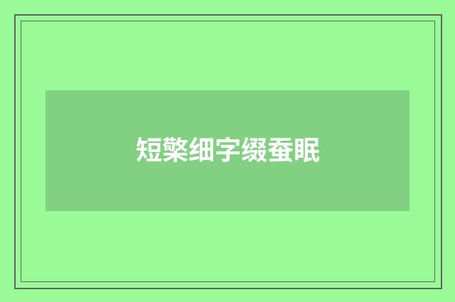 短檠细字缀蚕眠