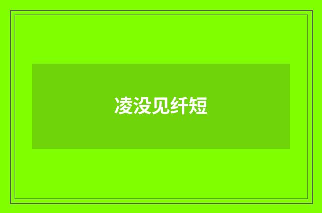 凌没见纤短