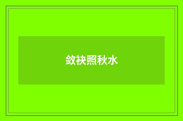 敛袂照秋水