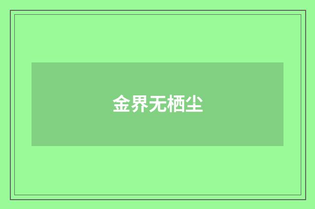 金界无栖尘