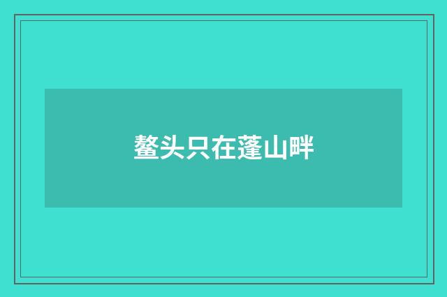 鳌头只在蓬山畔