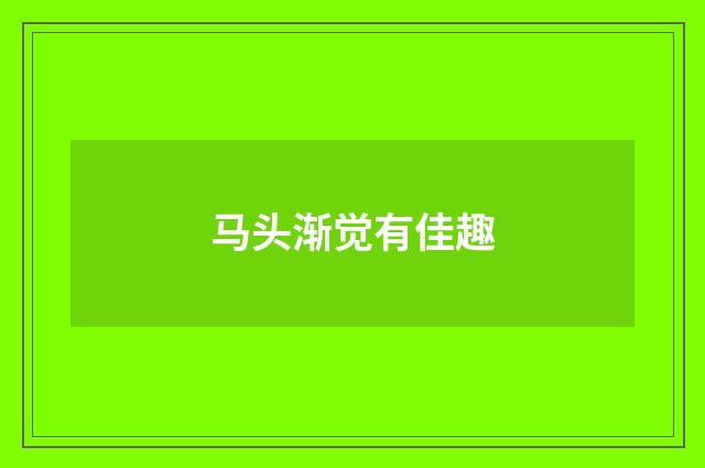 马头渐觉有佳趣