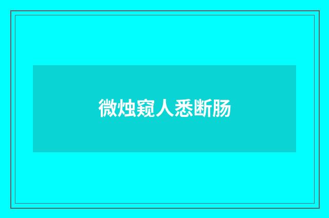 微烛窥人悉断肠