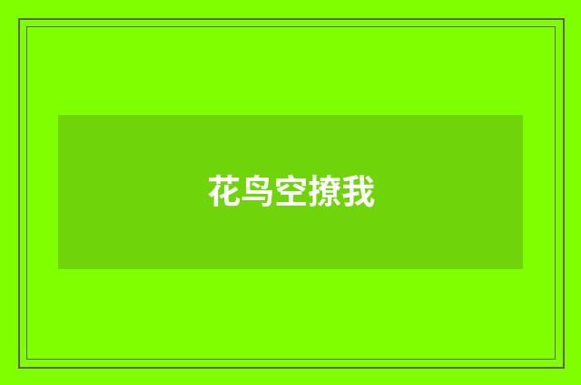 花鸟空撩我