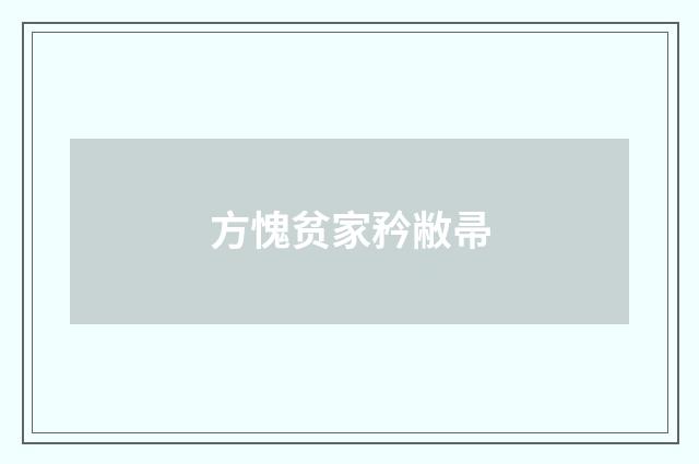 方愧贫家矜敝帚