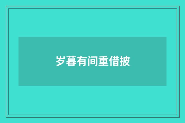 岁暮有间重借披