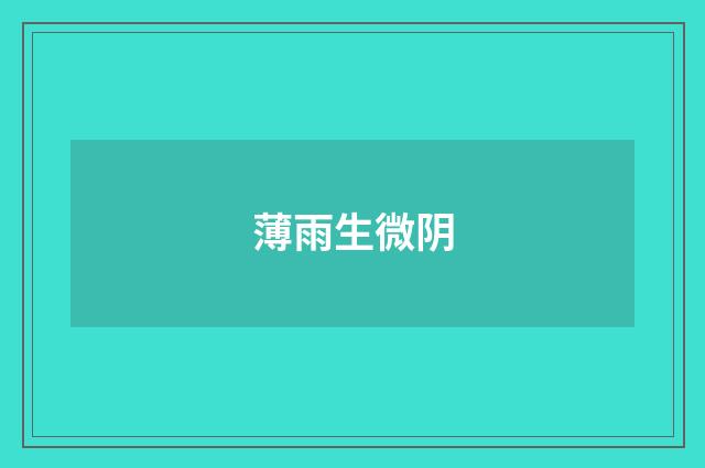薄雨生微阴