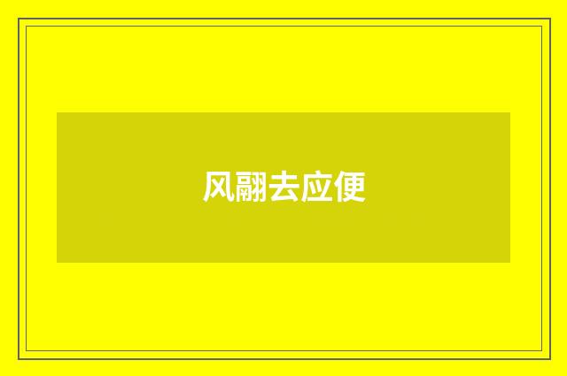 风翮去应便