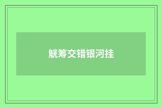 觥筹交错银河挂