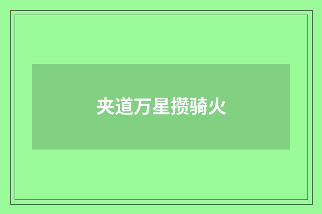 夹道万星攒骑火